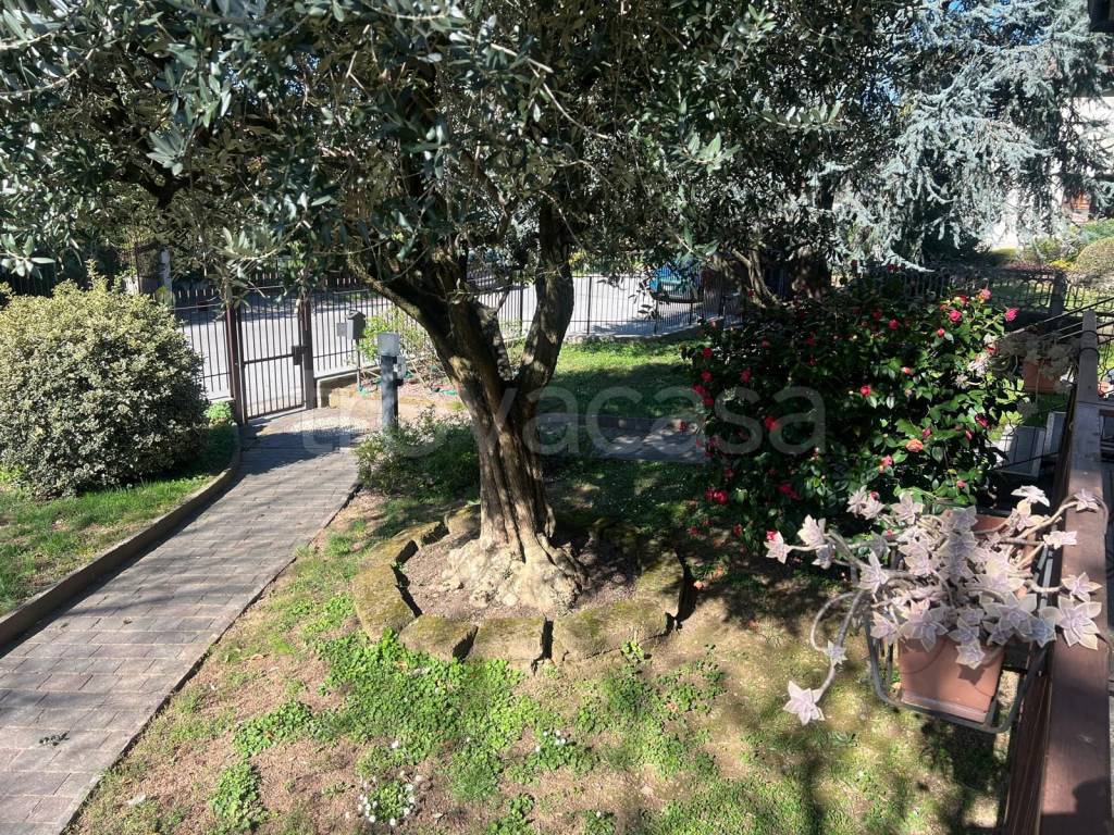 immagine annuncio 4 di 15