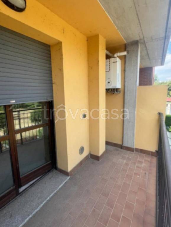 immagine annuncio 5 di 11