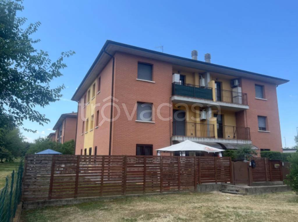 immagine annuncio 3 di 11