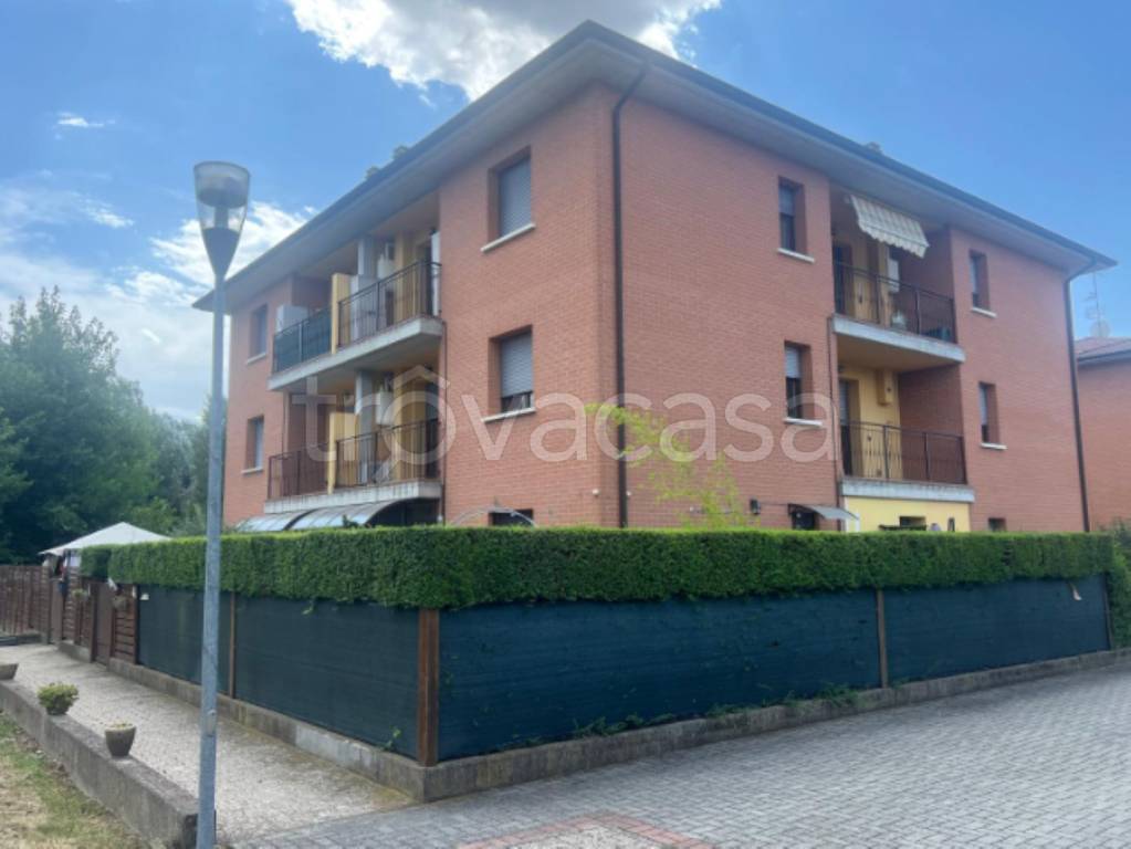 immagine annuncio 1 di 11