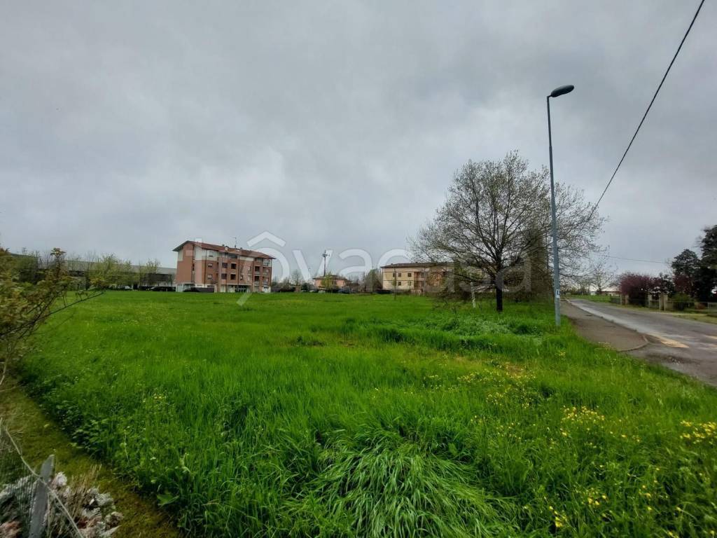 immagine annuncio 1 di 7