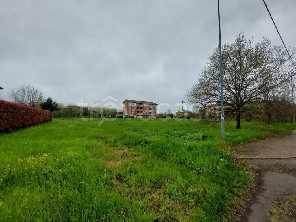 immagine annuncio 2 di 7