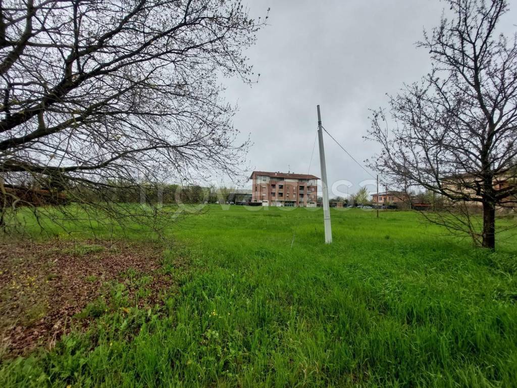 immagine annuncio 3 di 7