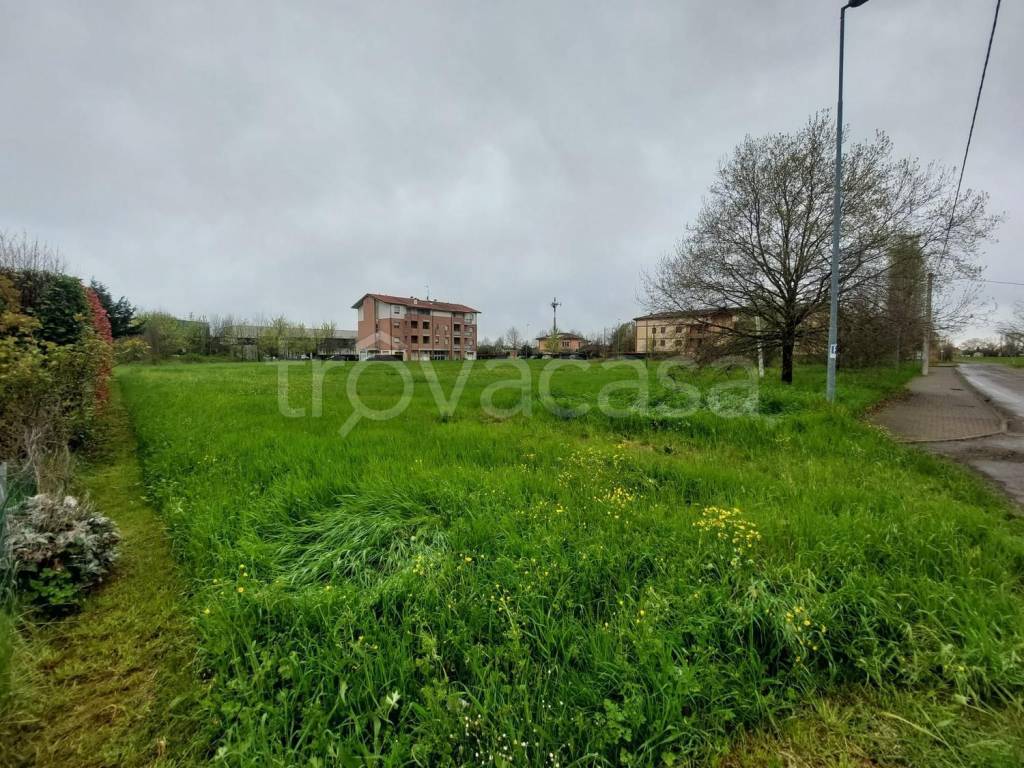 immagine annuncio 4 di 7