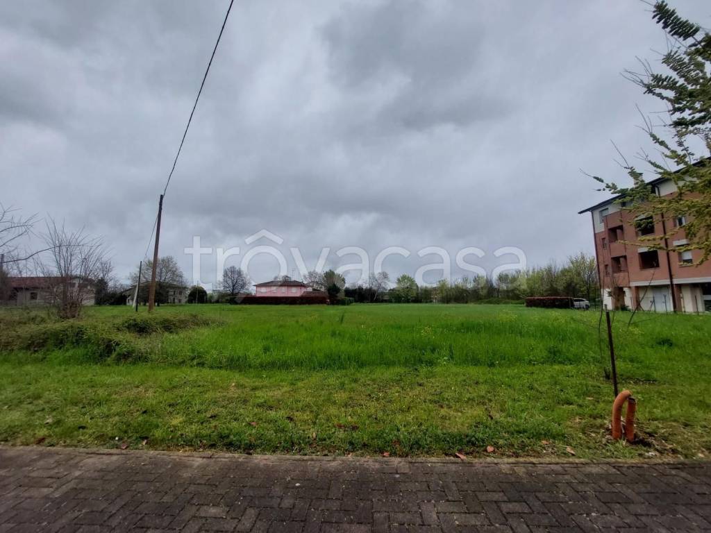 immagine annuncio 5 di 7