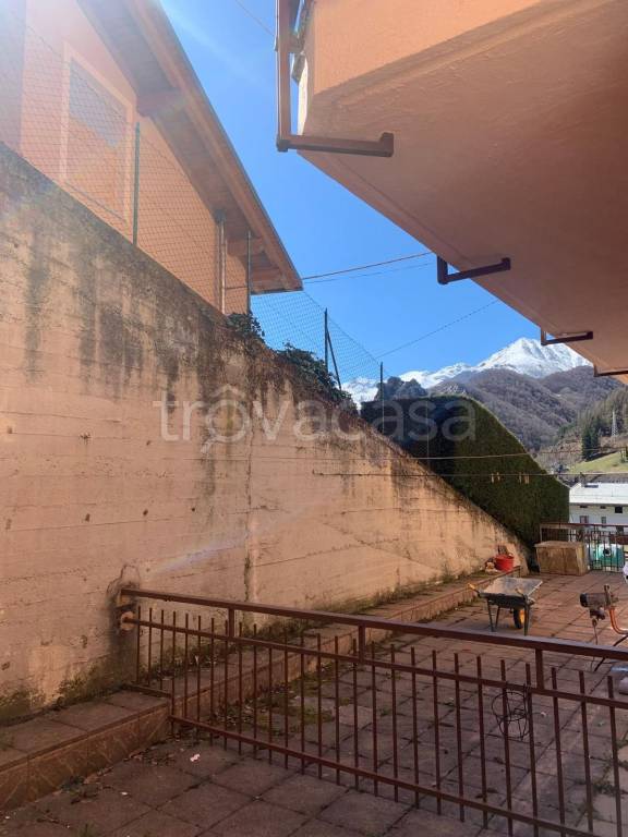 immagine annuncio 3 di 12