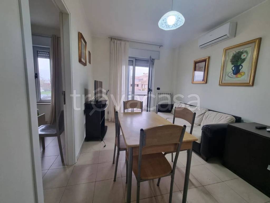 immagine annuncio 3 di 11