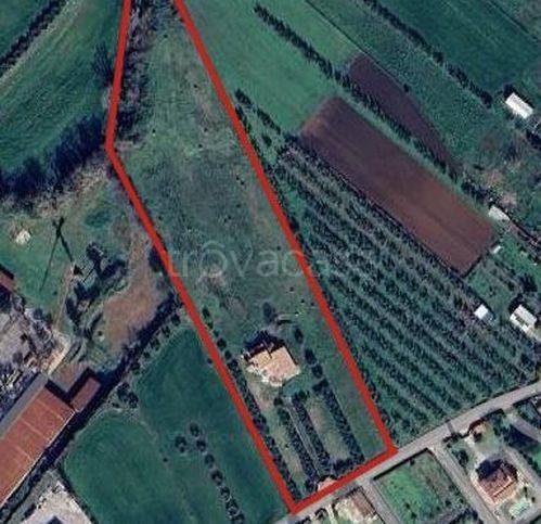 immagine annuncio 8 di 15