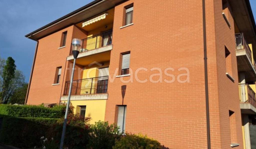 immagine annuncio 5 di 11