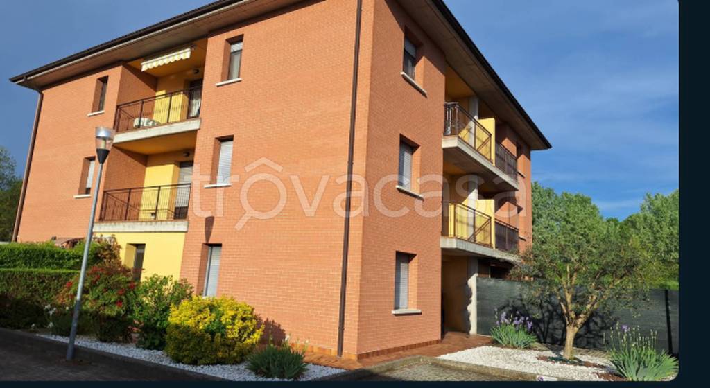 immagine annuncio 7 di 11