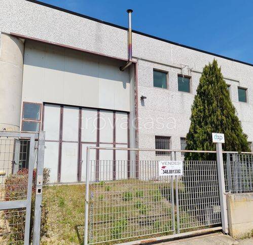 immagine annuncio 3 di 10