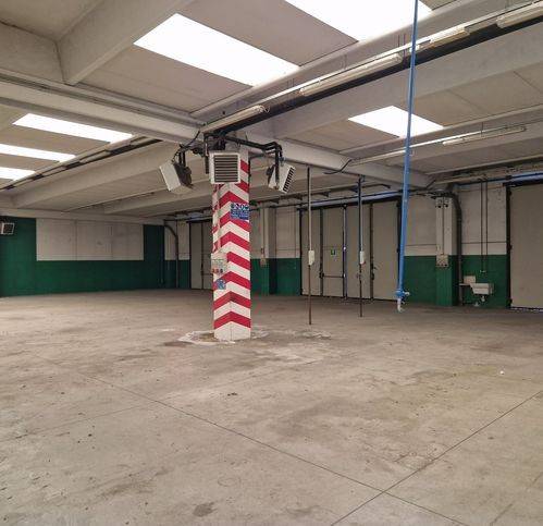 immagine annuncio 10 di 15