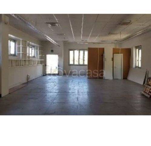 immagine annuncio 1 di 2