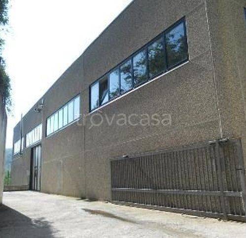 immagine annuncio 1 di 6