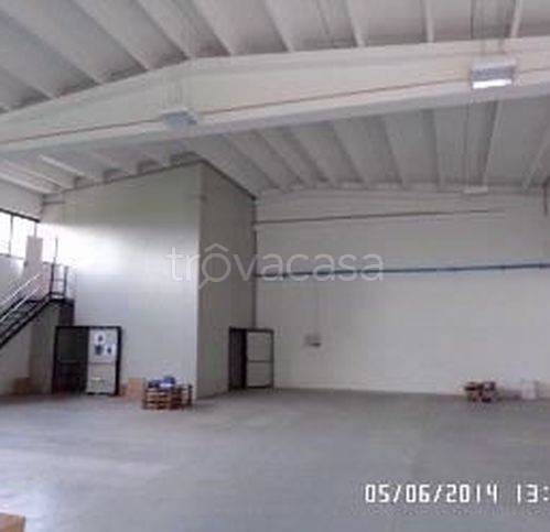 immagine annuncio 3 di 6