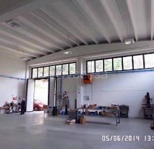 immagine annuncio 4 di 6