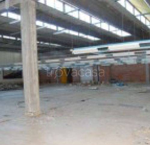 immagine annuncio 2 di 9