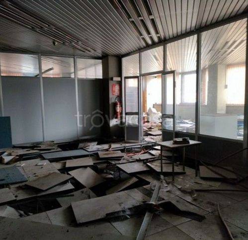 immagine annuncio 5 di 9