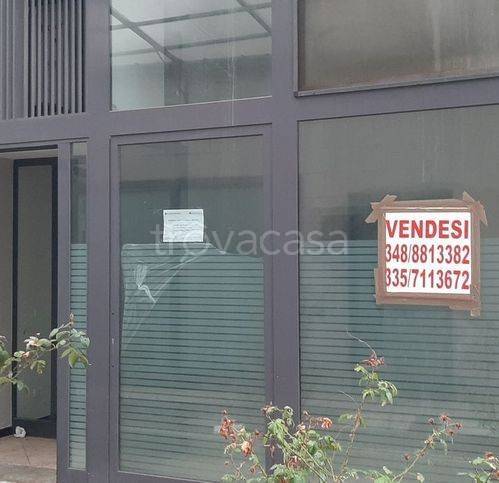 immagine annuncio 2 di 6