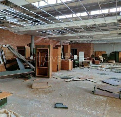 immagine annuncio 7 di 9