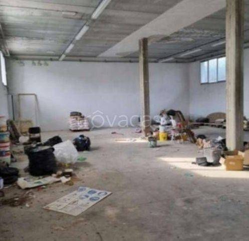 immagine annuncio 1 di 9