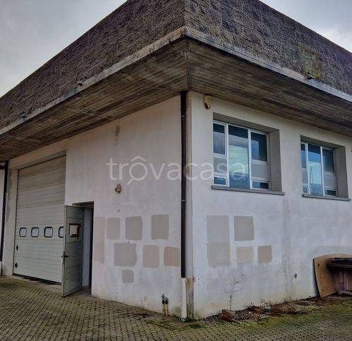 immagine annuncio 2 di 9