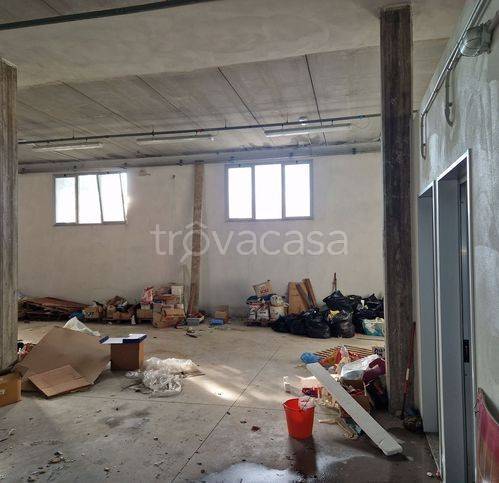 immagine annuncio 7 di 9