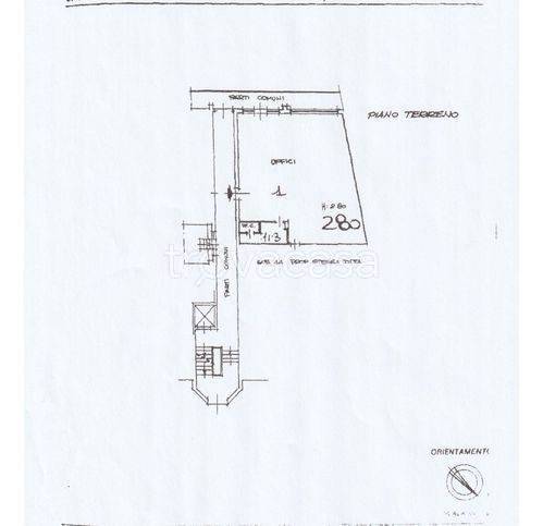 immagine annuncio 4 di 6