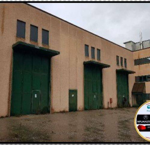 immagine annuncio 1 di 6