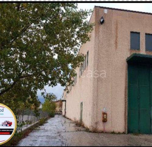 immagine annuncio 2 di 6