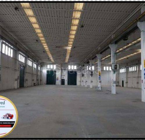 immagine annuncio 4 di 6