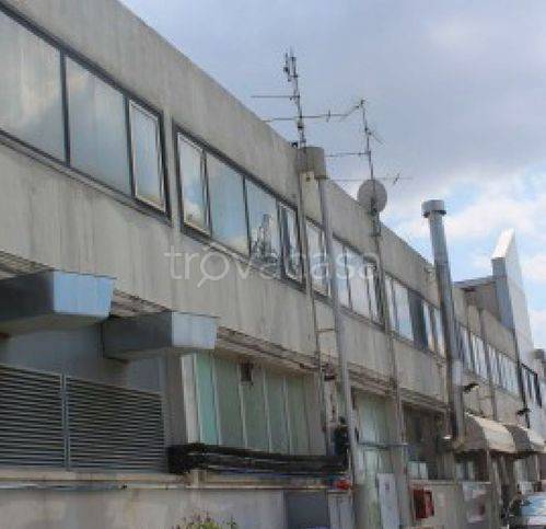 immagine annuncio 10 di 11