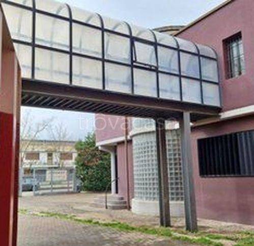 immagine annuncio 2 di 7