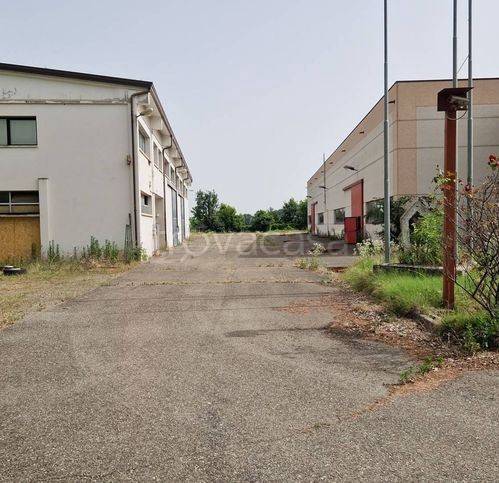 immagine annuncio 1 di 6