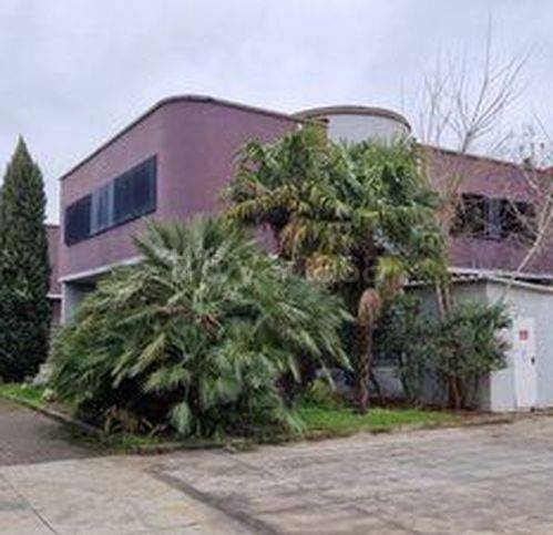 immagine annuncio 4 di 7