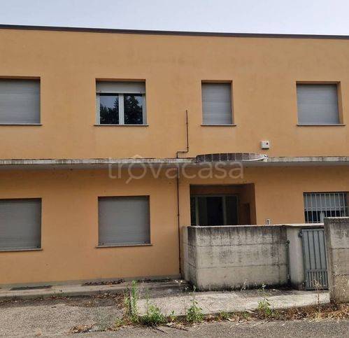 immagine annuncio 2 di 6