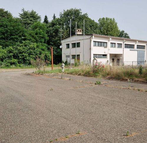 immagine annuncio 3 di 6