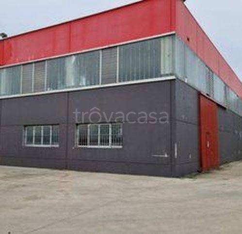 immagine annuncio 8 di 15