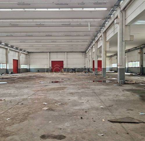 immagine annuncio 5 di 6