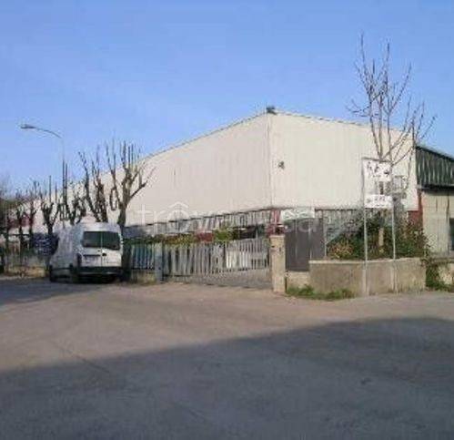 immagine annuncio 1 di 6