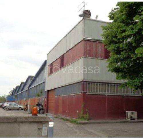 immagine annuncio 2 di 6