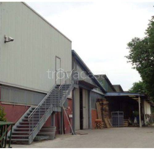 immagine annuncio 3 di 6