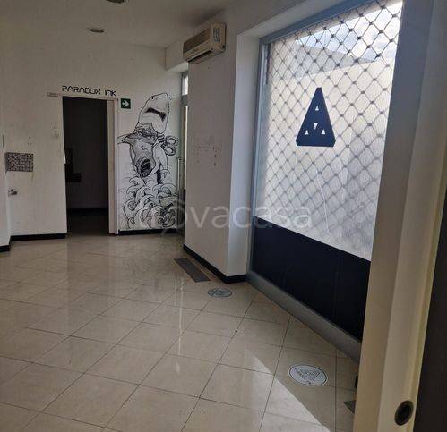 immagine annuncio 4 di 7