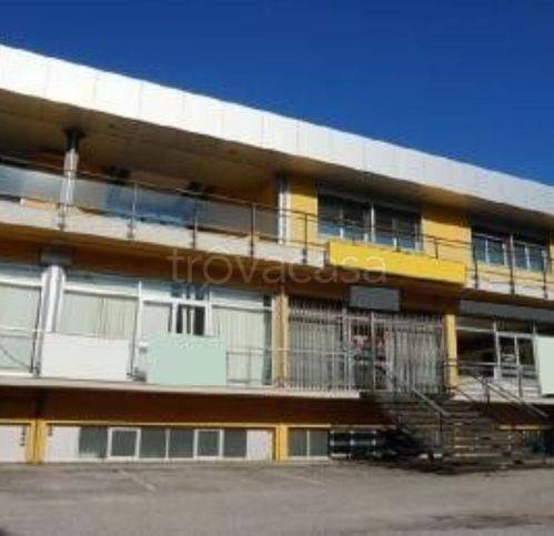 immagine annuncio 1 di 3