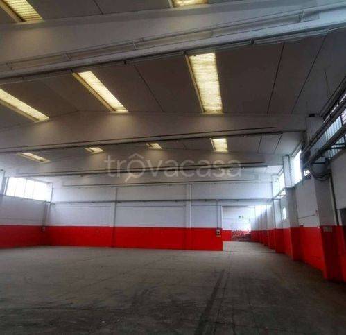 immagine annuncio 2 di 6