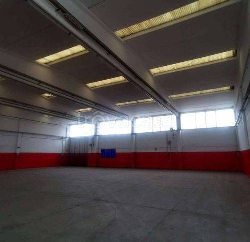 immagine annuncio 4 di 6