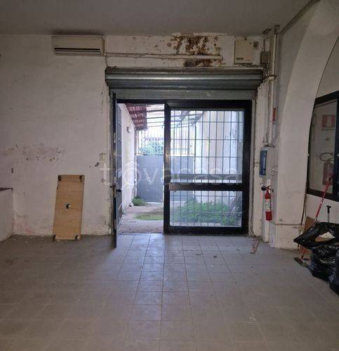 immagine annuncio 6 di 12