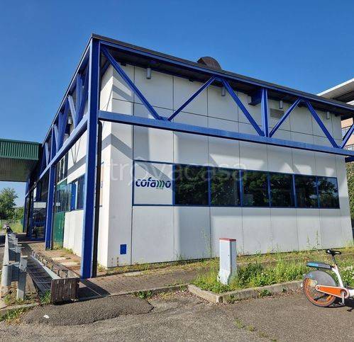 immagine annuncio 1 di 14