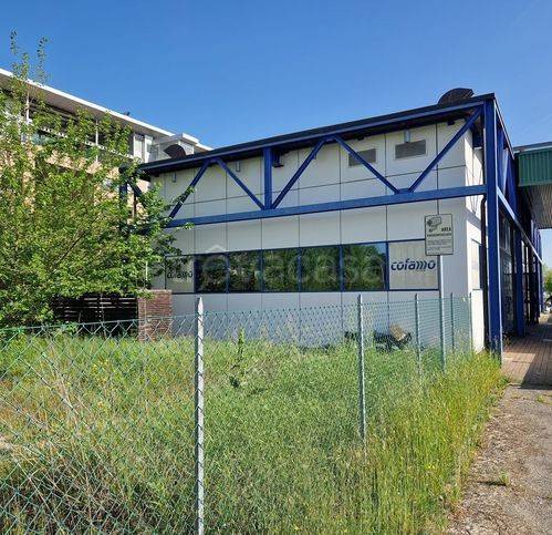 immagine annuncio 2 di 14