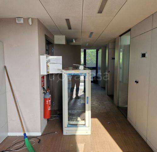 immagine annuncio 3 di 14